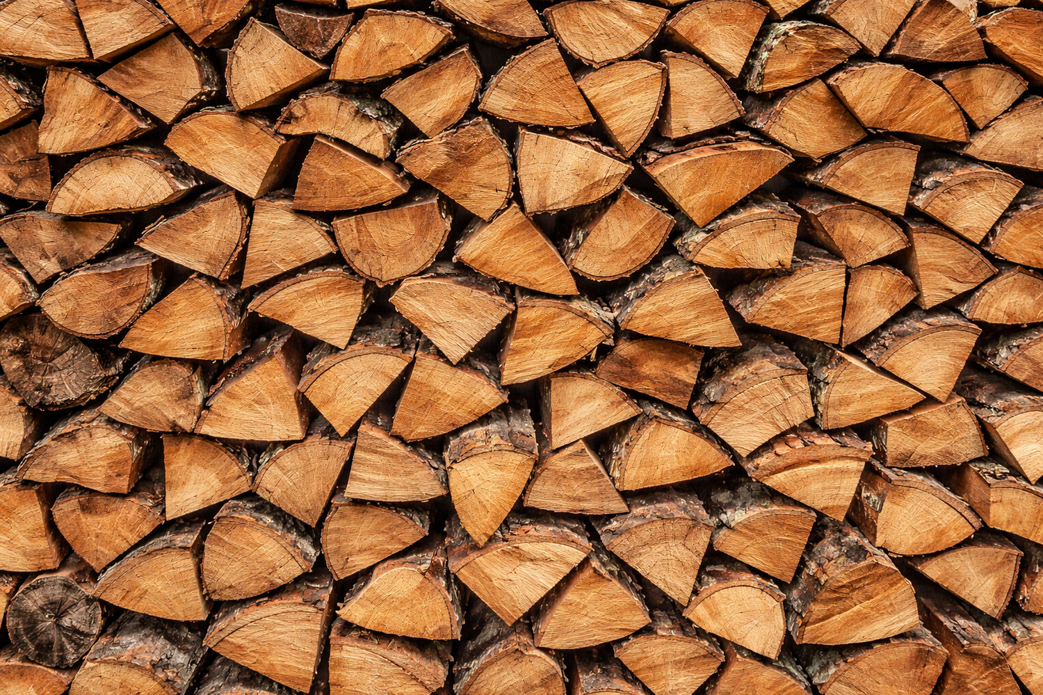 Firewood Logs