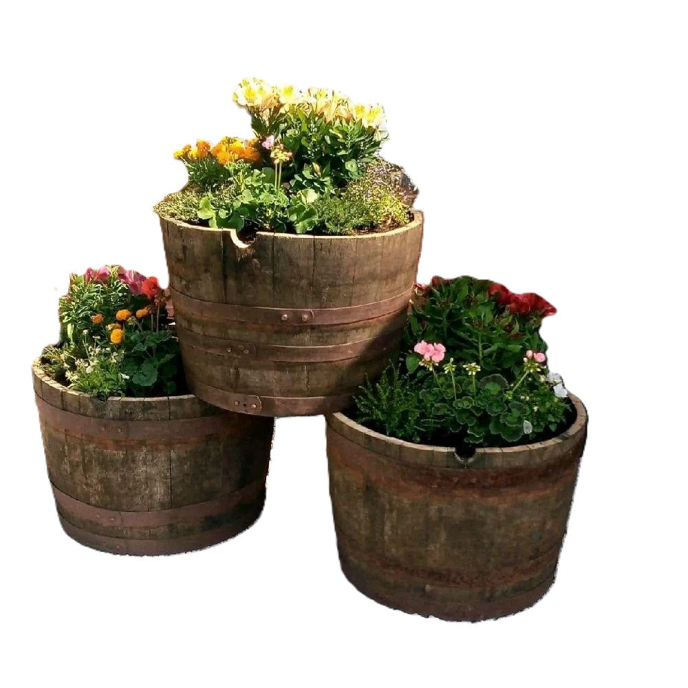 Half whisky barrel planter for garden use in the UK