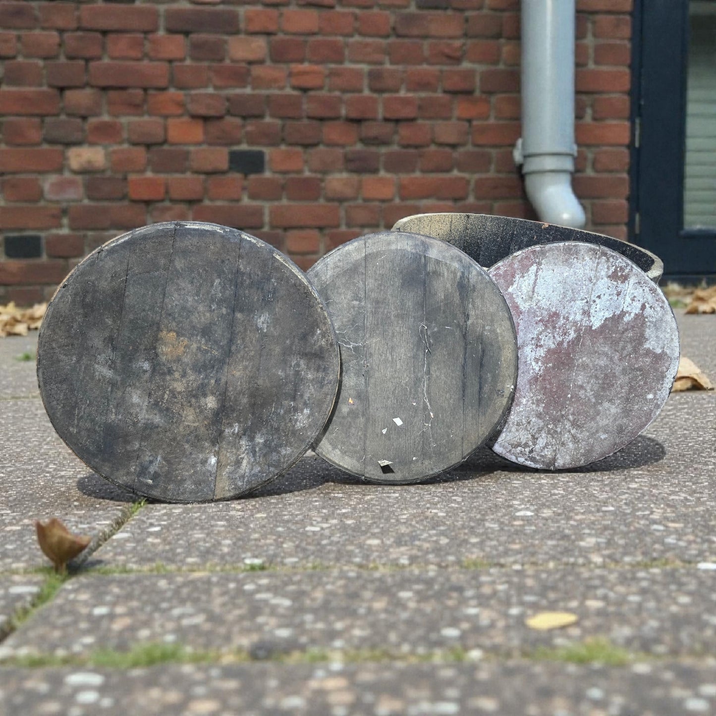 Oak Barrel Lids / Tops / Heads from Whisky Bourbon Wine and Port Barrels / Casks